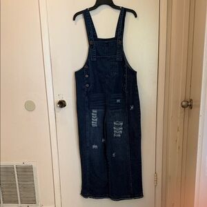 Denim Distressed Overall pants